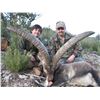 Image 6 : 10 - DAY HUNT IN SPAIN FOR 1 HUNTER AND THE CHOICE OF BRINGING 1 NON-HUNTER OR $4,000 CREDIT TOWARDS