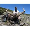 Image 7 : 10 - DAY HUNT IN SPAIN FOR 1 HUNTER AND THE CHOICE OF BRINGING 1 NON-HUNTER OR $4,000 CREDIT TOWARDS