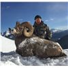 Image 2 : ALBERTA MINISTER’S SPECIAL BIGHORN SHEEP PERMIT THE ALBERTA FISH & GAME ASSOCIATION