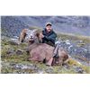 Image 3 : ALBERTA MINISTER’S SPECIAL BIGHORN SHEEP PERMIT THE ALBERTA FISH & GAME ASSOCIATION
