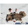 Image 5 : ALBERTA MINISTER’S SPECIAL BIGHORN SHEEP PERMIT THE ALBERTA FISH & GAME ASSOCIATION