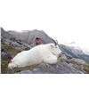 Image 2 : 10 - DAY HORSEBACK HUNT FOR MTN GOAT, MOOSE OR ELK (Hunter’s Choice) FOR 1 HUNTER IN TOAD RIVER BRIT