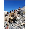 Image 2 : IDAHO BIGHORN SHEEP PERMIT  IDAHO DEPARTMENT OF FISH AND GAME
