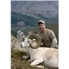 Image 2 : 12 - DAY DALL’S SHEEP/WOLF/WOLVERINE HUNT IN THE NORTHWEST TERRITORIES FOR 1 HUNTER & 1 NON-HUNTER G