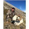 Image 4 : 12 - DAY DALL’S SHEEP/WOLF/WOLVERINE HUNT IN THE NORTHWEST TERRITORIES FOR 1 HUNTER & 1 NON-HUNTER G