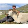 Image 5 : 12 - DAY DALL’S SHEEP/WOLF/WOLVERINE HUNT IN THE NORTHWEST TERRITORIES FOR 1 HUNTER & 1 NON-HUNTER G
