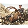 Image 2 : 3 - DAY SINDH IBEX (Up to 39”) HUNT IN PAKISTAN FOR 1 HUNTER (Trophy fee up to 39” is included) CAPR
