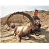 Image 3 : 3 - DAY SINDH IBEX (Up to 39”) HUNT IN PAKISTAN FOR 1 HUNTER (Trophy fee up to 39” is included) CAPR