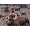 Image 5 : STATE OF NEVADA NELSON DESERT BIGHORN SHEEP TAG STATE OF NEVADA DEPARTMENT OF WILDLIFE