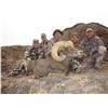 Image 6 : STATE OF NEVADA NELSON DESERT BIGHORN SHEEP TAG STATE OF NEVADA DEPARTMENT OF WILDLIFE