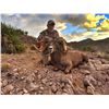 Image 9 : STATE OF NEVADA NELSON DESERT BIGHORN SHEEP TAG STATE OF NEVADA DEPARTMENT OF WILDLIFE
