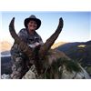Image 4 : 10 - DAY MULTIPLE SPECIES COMBINATION HUNT FOR 1 HUNTER AND 1 NON-HUNTER ($11,300 Credit for Daily R