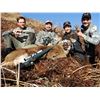 Image 2 : 7 - DAY SITKA BLACK TAIL DEER FOR 2 HUNTERS (100% FULLY DONATED) KATMAI GUIDE SERVICE