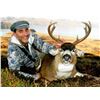 Image 4 : 7 - DAY SITKA BLACK TAIL DEER FOR 2 HUNTERS (100% FULLY DONATED) KATMAI GUIDE SERVICE