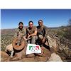 Image 11 : SONORA DESERT SHEEP - SIERRA EL ALAMO ALCAMPO HUNTING ADVENTURES