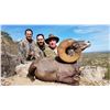Image 7 : SONORA DESERT SHEEP - SIERRA EL ALAMO ALCAMPO HUNTING ADVENTURES