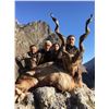 Image 2 : BUKHARAN MARKHOR CONSERVATION PERMIT IN TAJIKISTAN COMMITTEE OF THE ENVIRONMENTAL PROTECTION UNDER T