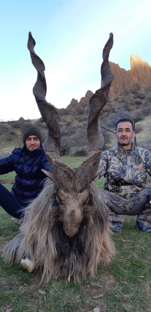 BUKHARAN MARKHOR CONSERVATION PERMIT IN TAJIKISTAN COMMITTEE OF THE bukharan-markhor-conservation-permit-in-tajikistan-committee-of-the
