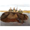 Image 2 : 10 - DAY BROWN/GRIZZLY BEAR & BLACK BEAR HUNT FOR 1 HUNTER ALASKA TROPHY ADVENTURES