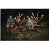 Image 2 : 6 - DAY 5- NIGHT NEW ZEALAND RED STAG HUNT FOR 2 HUNTERS SCORING UP TO 400 SCI (Trophy fee for 2 red