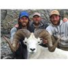 Image 8 : KLUANE FIRST NATION DALL’S SHEEP PERMIT DICKSON OUTFITTERS LTD. & KLUANE FIRST NATION (KFN)