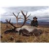 Image 2 : 10 - DAY MOUNTAIN CARIBOU HUNT FOR 1 HUNTER WITH TAHLTAN OUTFITTERS TAHLTAN OUTFITTERS