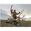 Image 3 : 10 - DAY MOUNTAIN CARIBOU HUNT FOR 1 HUNTER WITH TAHLTAN OUTFITTERS TAHLTAN OUTFITTERS
