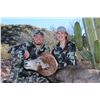 Image 2 : CARMEN ISLAND, MEXICO, DESERT BIGHORN SHEEP  MEXICO HUNTS/SERGIO JIMENEZ