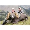 Image 2 : NEW MEXICO ROCKY MOUNTAIN BIGHORN SHEEP PERMIT NEW MEXICO DEPARTMENT OF GAME & FISH WILDLIFE MANAGEM