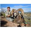 Image 3 : NEW MEXICO ROCKY MOUNTAIN BIGHORN SHEEP PERMIT NEW MEXICO DEPARTMENT OF GAME & FISH WILDLIFE MANAGEM