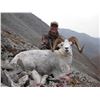 Image 3 : 10 - DAY 1X1 FANNIN OR DALL’S SHEEP HUNT IN THE YUKON BLACKSTONE OUTFITTERS