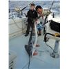Image 2 : 2 - DAY HUNT FOR HYBRID EUROPEAN MOULFON/HAWAIIAN SHEEP FOR 1 HUNTER AND 1 DAY DEEP SEA FISHING FOR 