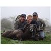 Image 3 : 2 - DAY HUNT FOR HYBRID EUROPEAN MOULFON/HAWAIIAN SHEEP FOR 1 HUNTER AND 1 DAY DEEP SEA FISHING FOR 