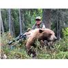 Image 2 : 4 - DAY/2-BLACK BEAR HUNT FOR 2 PEOPLE OVER BAIT (Specializing In Family Members - Mother/Daughter -