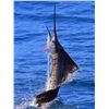 Image 2 : 6 - DAYS OF FISHING IN ZIHUATANEJO, MEXICO FOR 1 ANGLER AND 20% OFF FOR ADDITIONAL ANGLERS (100% FUL