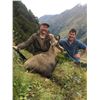 5 - DAY NEW ZEALAND CHAMOIS HUNT FOR 1 HUNTER AND 1 NON-HUNTER (Trophy fee for 1 chamois is included