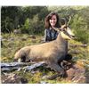 Image 2 : 5 - DAY NEW ZEALAND CHAMOIS HUNT FOR 1 HUNTER AND 1 NON-HUNTER (Trophy fee for 1 chamois is included