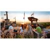 Image 11 : CABELAS BIG CEDAR LODGE ADVENTURE FOR 2 (100% FULLY DONATED) CABELAS/BASS PRO