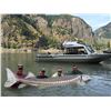 Image 14 : 1-DAY (8 hour) BIG GAME ULTIMATE FRASER CANYON STURGEON EXPERIENCE FOR 2 PEOPLE
