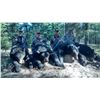 Image 4 : ALBERTA HUNTING COMPANY 7-day Northern Alberta Black Bear and Wolf Hunt for 1 Hunter