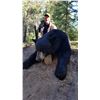 Image 5 : ALBERTA HUNTING COMPANY 7-day Northern Alberta Black Bear and Wolf Hunt for 1 Hunter