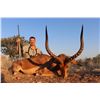 Image 2 : MOTSOMI SAFARIS 7-Day Hunt for 2 Hunters and 2 Non-Hunters for Impala, Wildebeest and Zebra in Main