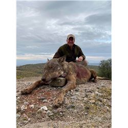 SAFARI INTERNATIONAL MACEDONIA 5 Day European Grey Wolf Hunt for 1 Hunter and 1 Non-Hunter in Macedo