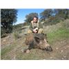 Image 2 : ATP HUNT 5-Day and 4-Night Iberian Red Stag and European Wild Boar hunt for 1 hunter in Ciudad Real/