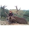 Image 3 : ATP HUNT 5-Day and 4-Night Iberian Red Stag and European Wild Boar hunt for 1 hunter in Ciudad Real/