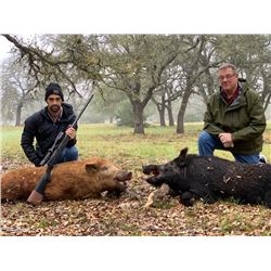 TEXAS HUNT LODGE 2-Day Texas Trophy Wild Boar Hunt for 4 Hunters
