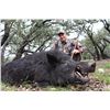 Image 2 : TEXAS HUNT LODGE 2-Day Texas Trophy Wild Boar Hunt for 4 Hunters