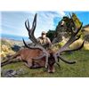 Image 1 : SOUTH PACIFIC SAFARIS NEW ZEALAND 5-day Guided Hunt for 1 Hunter and 1 Observer for 1 Red Stag up to