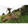 Image 2 : SOUTH PACIFIC SAFARIS NEW ZEALAND 5-day Guided Hunt for 1 Hunter and 1 Observer for 1 Red Stag up to