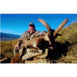SPANISH IBEX HUNTS 5-day Hunt for Southeastern Ibex in Spain for 1-Hunter and 1 Observer